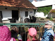 Výlet do ZOO Chleby a Labyrintária Loučeň